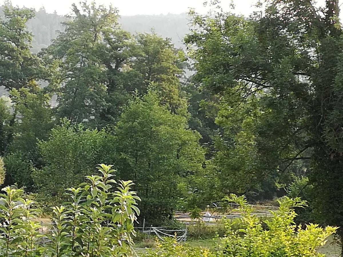 Büdingen Ferienwohnung Lilly מראה חיצוני תמונה