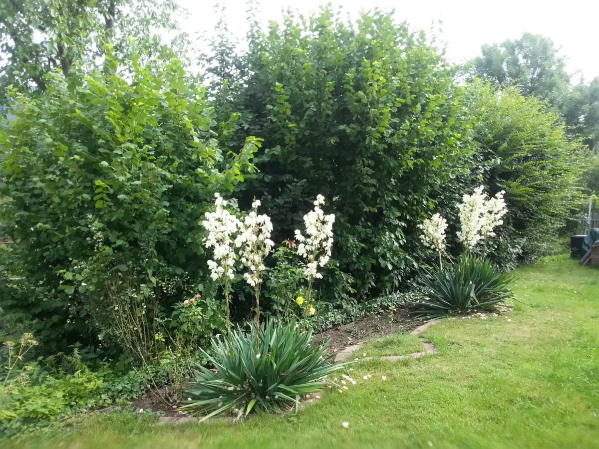Büdingen Ferienwohnung Lilly מראה חיצוני תמונה